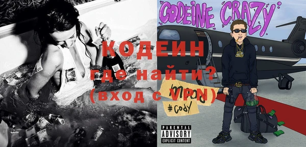 молекула духа Тында