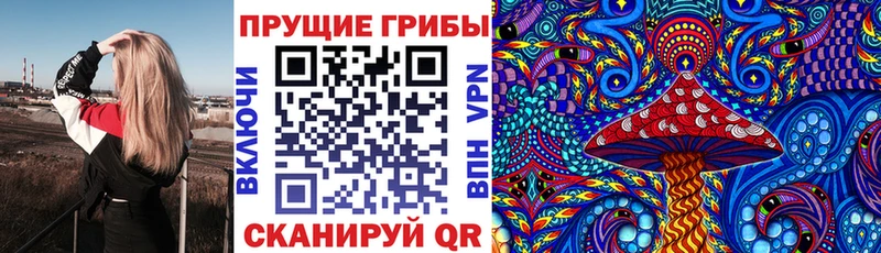 kraken вход  цены   Новокузнецк  Псилоцибиновые грибы Cubensis 