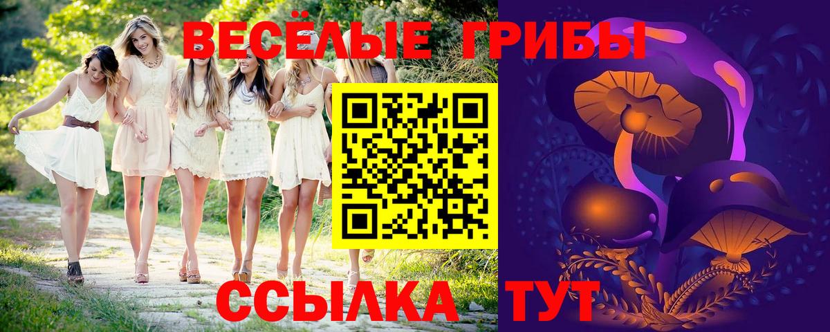 Галлюциногенные грибы Cubensis Новокузнецк