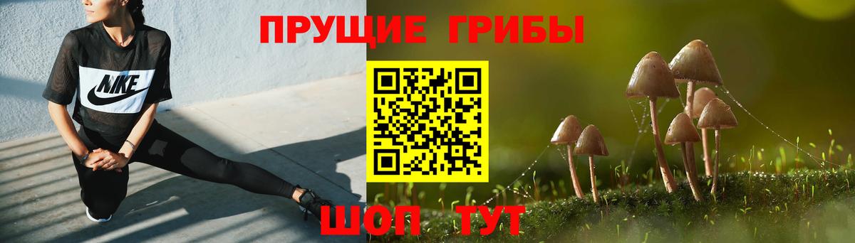 Псилоцибиновые грибы ЛСД  наркота  Новокузнецк  Вход с VPN 