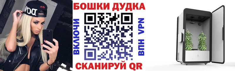цена   Новокузнецк  OMG ONION  Конопля гибрид 